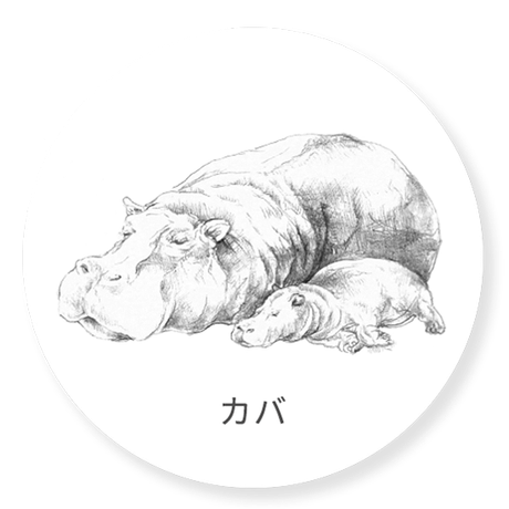 カバ