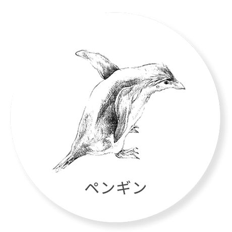 ペンギン