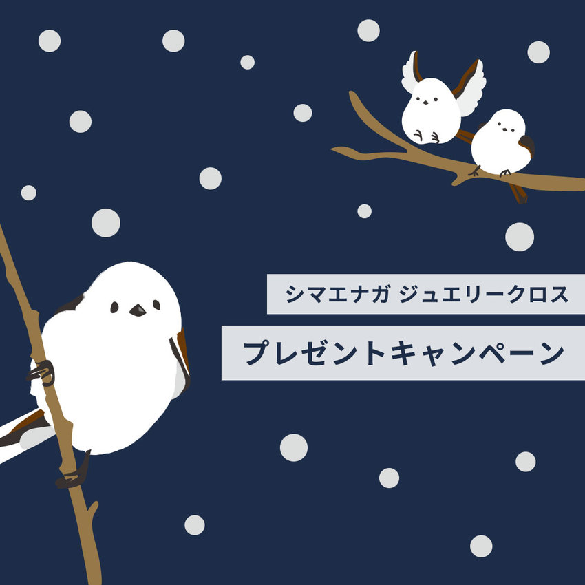 1月10日 (金)スタート！公式オンラインストア限定 ジュエリークロス プレゼントキャンペーン