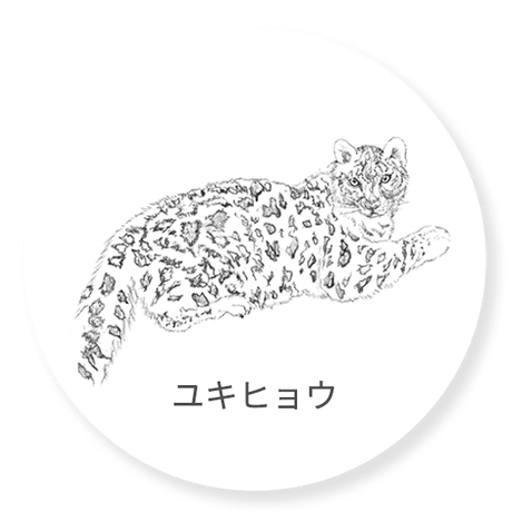 ユキヒョウ