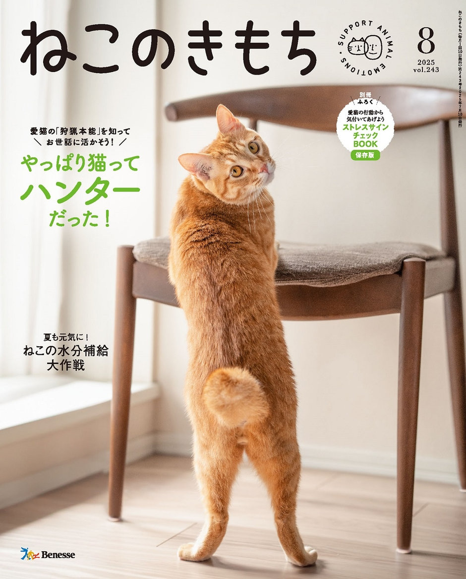 猫のきもち ねこのきもち 2023年4月号｜株式会社シーオーツー