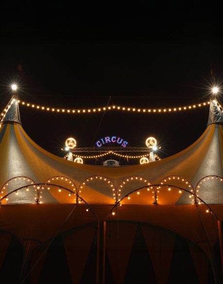 Bienvenue au cirque