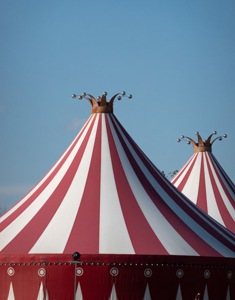 Monde du cirque