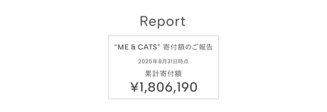 MeandCats BackStage_pc