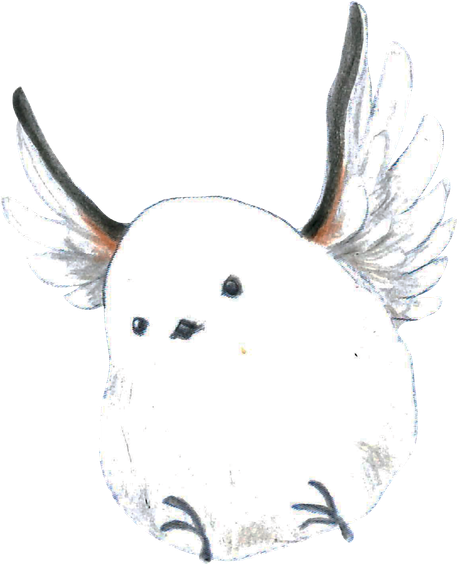 飛んでくるシマエナガ