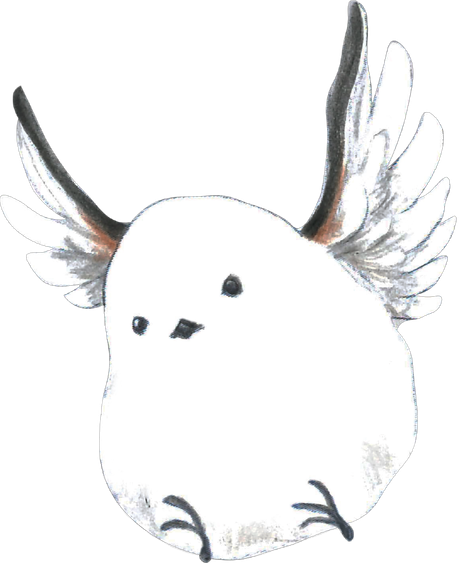 飛んでくるシマエナガ