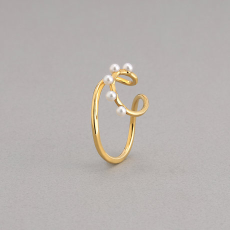 プラスヴァンドーム イヤーカフ