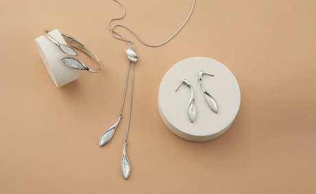 シェル　コレクション