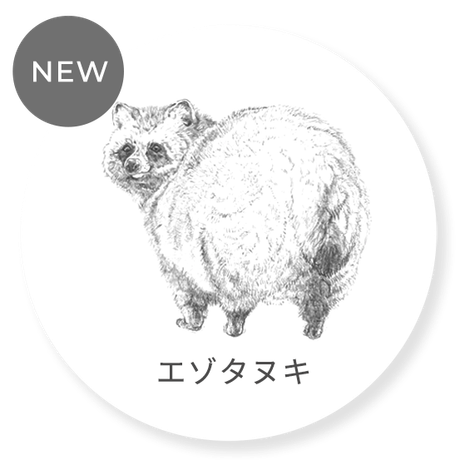 ezotanuki